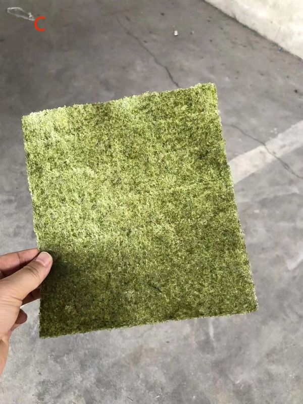 Cor verde escuro 100 folhas de diferentes graus Sushi Nori de algas marinhas secas assadas