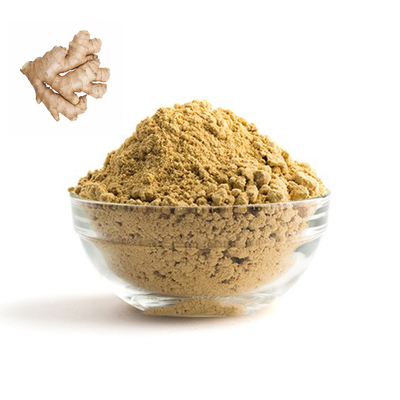 Umidade Ginger Powder seco orgânico 80 - de 10% malha 100