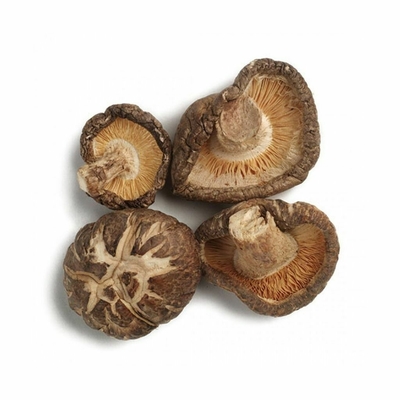 O Shiitake secado desidratado cresce rapidamente tampão de 4-5CM para o restaurante