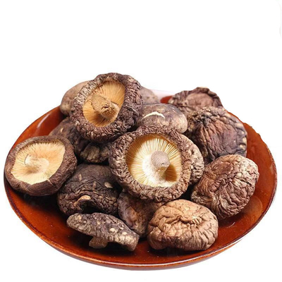 Mediano Tamanho Cogumelos Shiitake Secos Flocos Armazenamento em local seco
