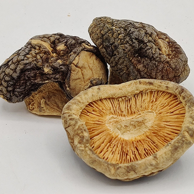 Refeições diárias Cogumelos Shiitake secos castanhos armazenados em local seco