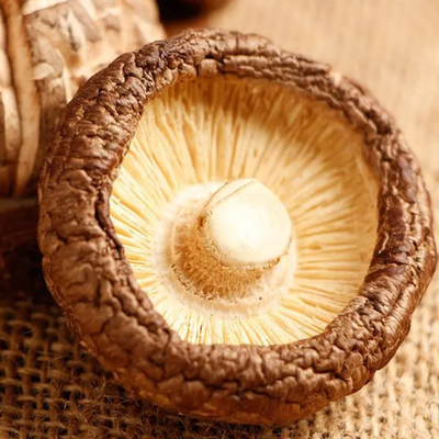 Fungos Shiitake secos com alto teor de proteínas e sabor de cogumelo