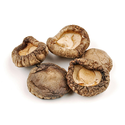 Flat Bag Fungos Shiitake Secos Naturais Nutritivos Saudáveis Deliciosos