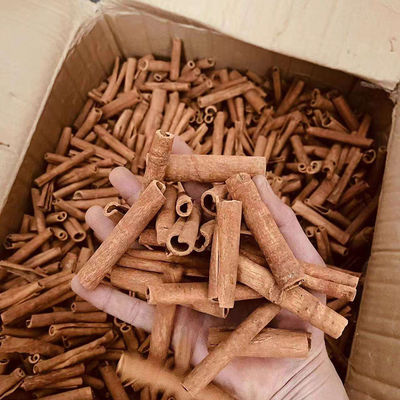 Palhinhas de canela de Ceilão de qualidade superior para especiarias e ervas