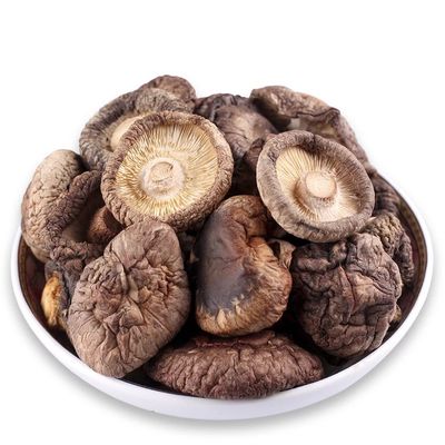 Cogumelos castanhos secos de forma plana com alto teor de proteínas