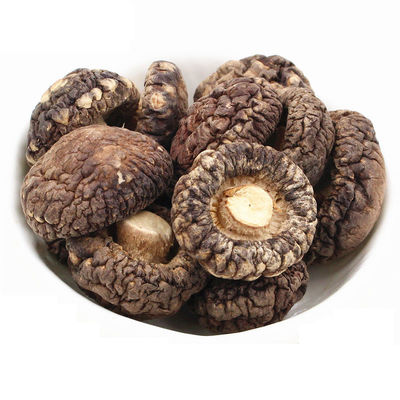 Cogumelo de Shiitake Flat Marrom Desidratado Com Aromas de Cogumelo Intenso