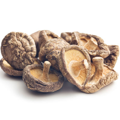 Estambos de cogumelos secos