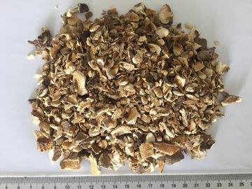 O Shiitake desidratado cresce rapidamente tamanho dos grânulo 10x10mm com gosto natural