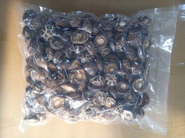 Umidade secada saudável do cogumelo de Shiitake 11% nenhuns odores estrangeiros